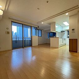 同仕様タイプです