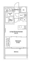 京王井の頭線 神泉駅 徒歩6分の賃貸マンション 10階1LDKの間取り
