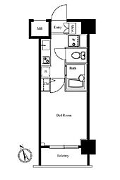 京王井の頭線 神泉駅 徒歩5分の賃貸マンション 4階1Kの間取り
