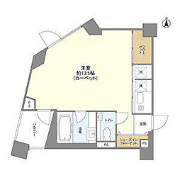 東京メトロ日比谷線 広尾駅 徒歩10分の賃貸マンション 5階ワンルームの間取り