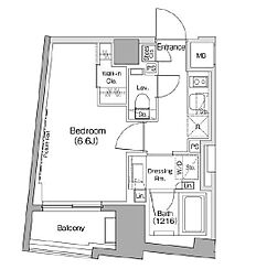 東京メトロ丸ノ内線 新高円寺駅 徒歩4分の賃貸マンション 1階1Kの間取り