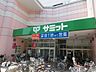 周辺：サミットストア板橋弥生町店 徒歩4分。スーパー 300m