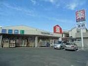 ウエルシア坂戸南町店 640m