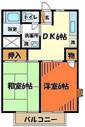 ルミエールミツトヨ 1階2DKの間取り