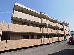 マンションラメール 303