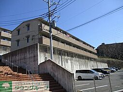 スプリングフォレスト　B