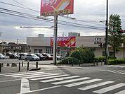 ツルハドラッグ 500m
