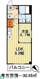 IVORY 1LDKの間取図画像
