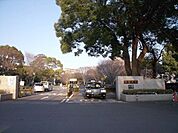 千葉大学 270m