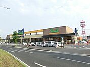 トウズ千葉土気店 1082m
