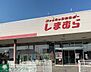 周辺：ファッションセンターしまむら岩根店 徒歩49分。ショッピングセンター 3910m