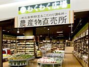 わくわく広場ららぽーと湘南平塚店 306m