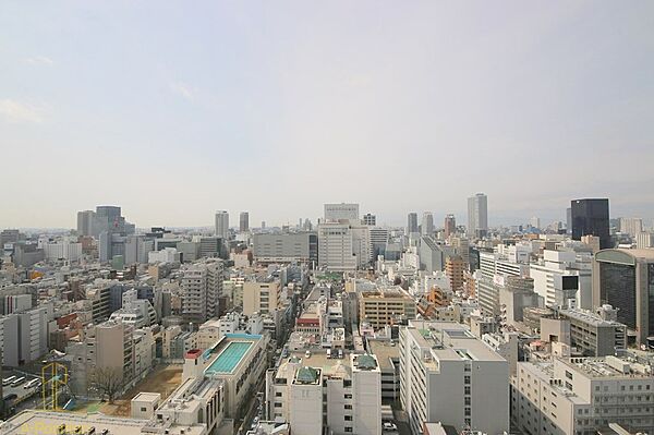 アルグラッドザ・タワー心斎橋 ｜大阪府大阪市中央区東心斎橋1丁目(賃貸マンション2LDK・23階・52.35㎡)の写真 その25