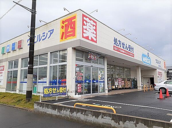 画像18:その他「ウエルシア鹿嶋平井店まで500m」