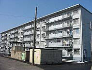 茨城県神栖市知手中央4丁目：物件画像／有限会社橋本地所　ピタットハウス神栖店