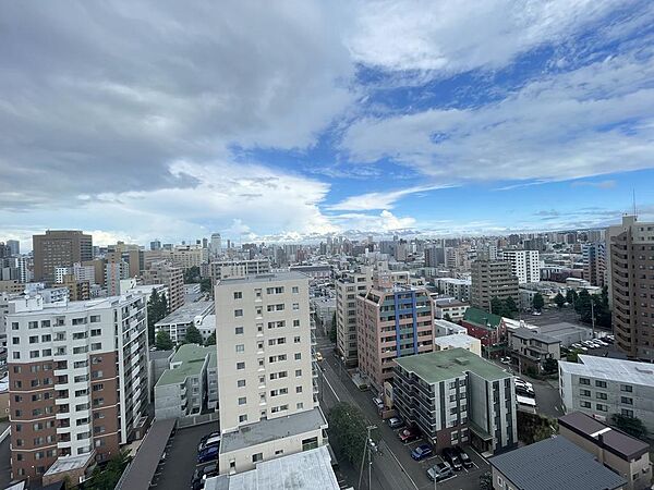 ライオンズヴィアーレ円山南四条