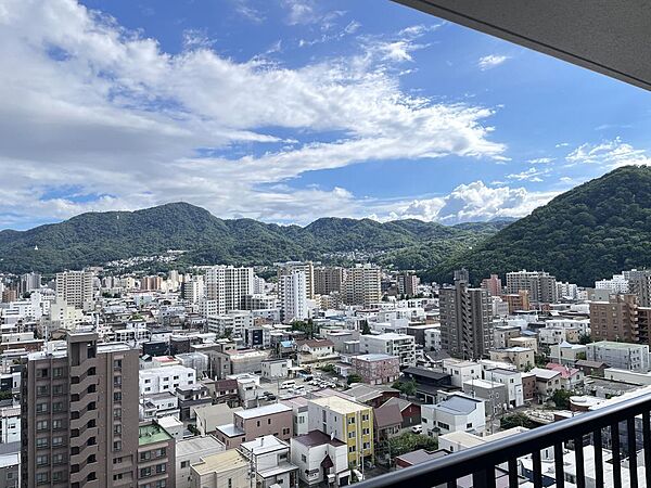 ライオンズヴィアーレ円山南四条