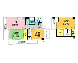シティーハイツ舟入 3DKの間取図画像