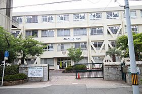 広島県広島市西区南観音７丁目（賃貸マンション2LDK・3階・53.00㎡） その17