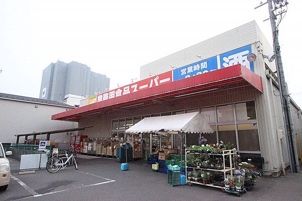 画像17:業務用食品スーパー　東雲店