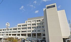 広島県広島市安佐南区大町西３丁目（賃貸マンション1LDK・6階・48.24㎡） その17