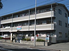 広島県広島市南区向洋新町１丁目（賃貸マンション3LDK・2階・59.00㎡） その1