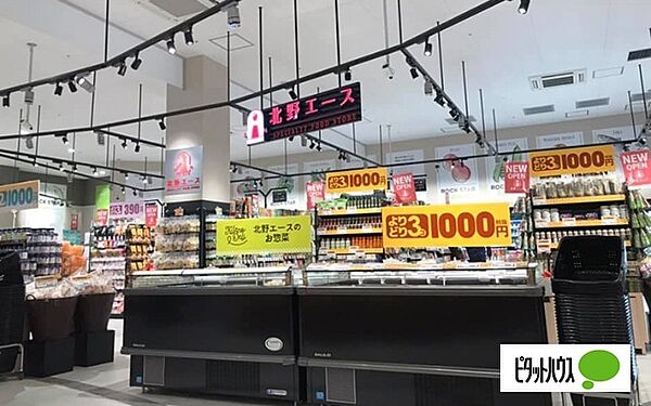 画像7:スーパー「北野エースキーノ和歌山店まで448m」