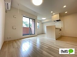 パミドーリIV 202