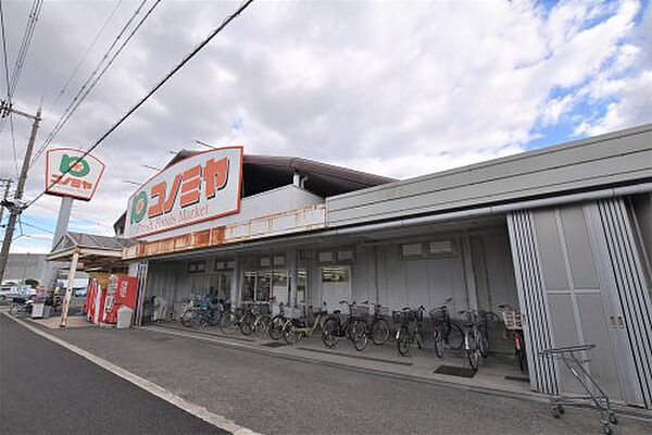 画像29:【スーパー】スーパーマーケット コノミヤ 浜寺石津店まで729ｍ