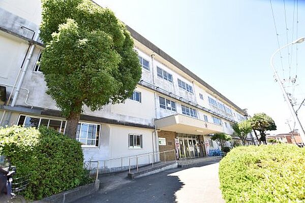 画像29:【小学校】堺市立向丘小学校まで920ｍ