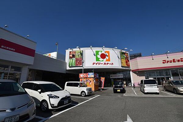 画像26:【スーパー】デイリーカナート 泉大津店まで301ｍ