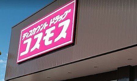 コスモス 小向店 850m