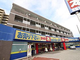 南柏堀ハイツ  ｜ 千葉県流山市松ケ丘3丁目（賃貸マンション2DK・3階・48.29㎡） その1