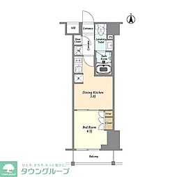 アジュールテラス東陽町 8階1DKの間取り