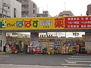 どらっぐぱぱす両国店 徒歩8分。ドラックストア 630m