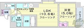 北海道札幌市中央区南五条西12丁目（賃貸マンション1LDK・5階・37.36㎡） その2