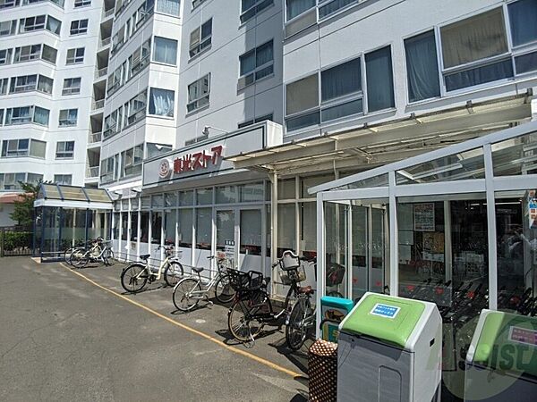 北海道札幌市中央区北六条西28丁目(賃貸マンション2LDK・4階・54.23㎡)の写真 その10