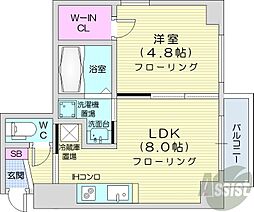 JR函館本線 桑園駅 徒歩7分の賃貸マンション 7階1LDKの間取り