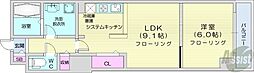 ビッグパレス南6条 1LDKの間取図画像