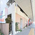 カトレヤ21