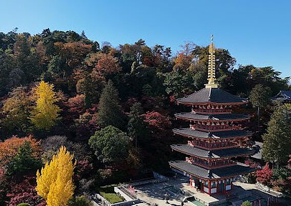 高幡不動尊・多...