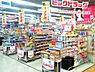 周辺：ビックドラッグ藤沢店 420m