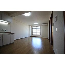 シャトレー新井 203 2階2LDKのリビング/ダイニング