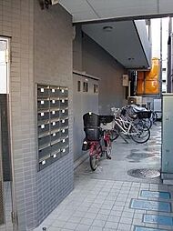 8 / 17