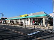 いなげやina21羽村富士見平店 873m