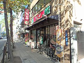 カスタリアタワー長堀橋  ｜ 大阪府大阪市中央区島之内1丁目15-25（賃貸マンション1LDK・3階・57.26㎡） その12