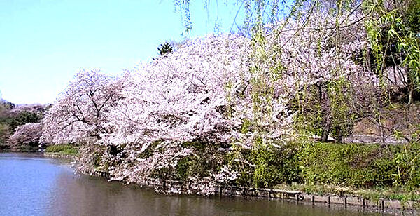 神奈川県横浜市鶴見区馬場5丁目(賃貸アパート1R・1階・12.49㎡)の写真 その30