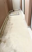 南面バルコニー