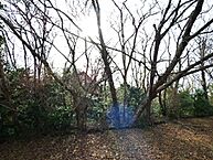 静岡県伊東市富戸：物件画像