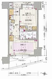 エステムプラザ天神サウスイースト 2Kの間取図画像